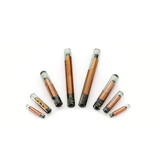 Micro Chips For Dogs